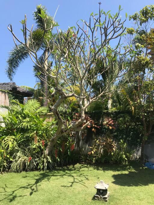 Desa Naga Villa Canggu Exterior foto